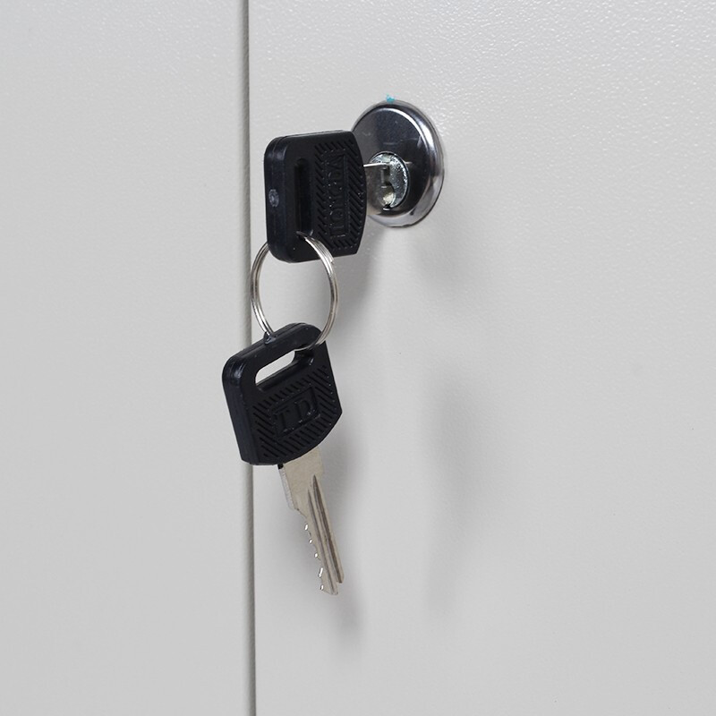 盛花 钢制办公家具 钢制更衣柜 员工柜 铁皮柜 储物柜 浴室柜 宿舍柜 工衣柜 健身房瑜伽馆 储物柜 器械更衣柜