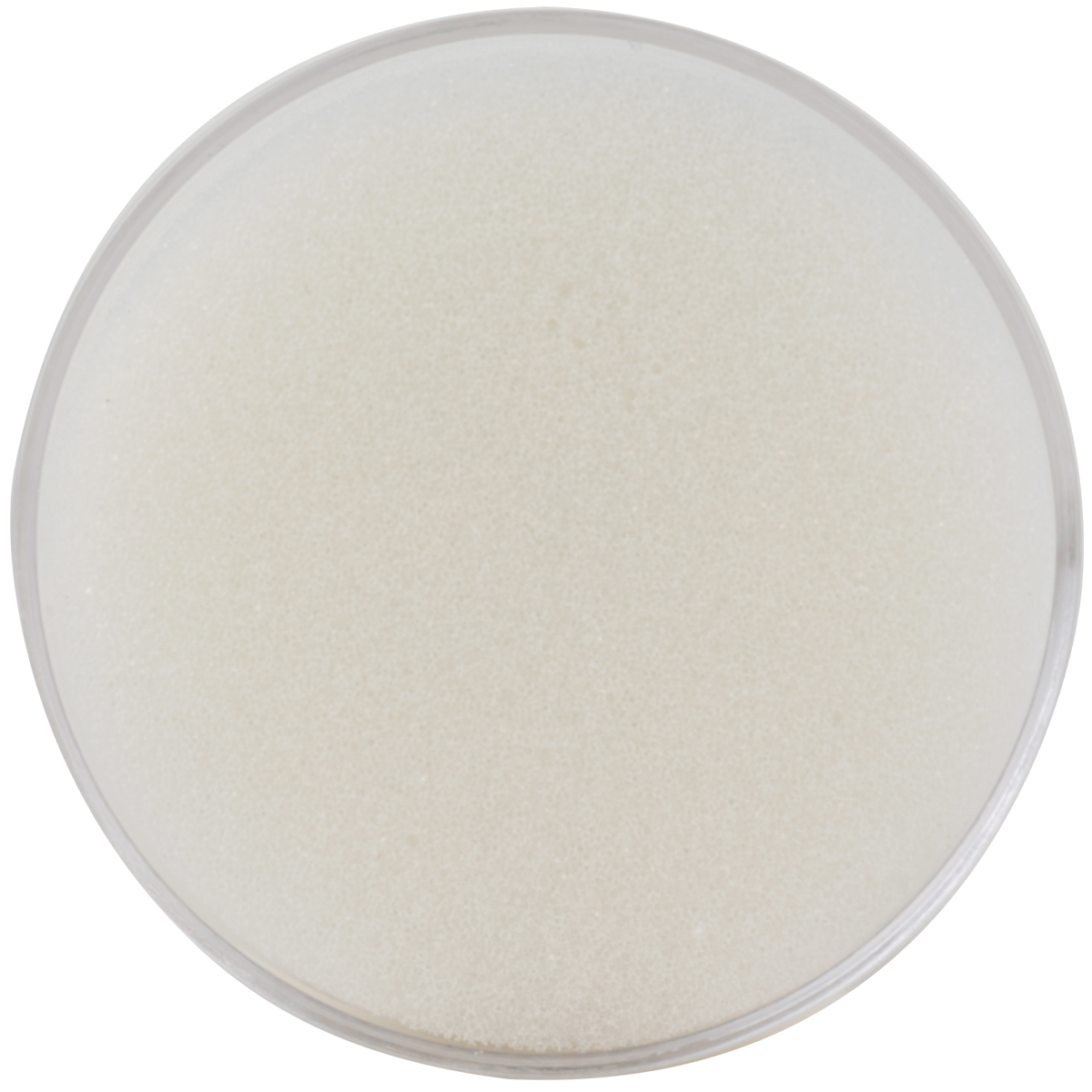 得力9102海绵缸 圆形湿手器 点钞缸 蘸水缸