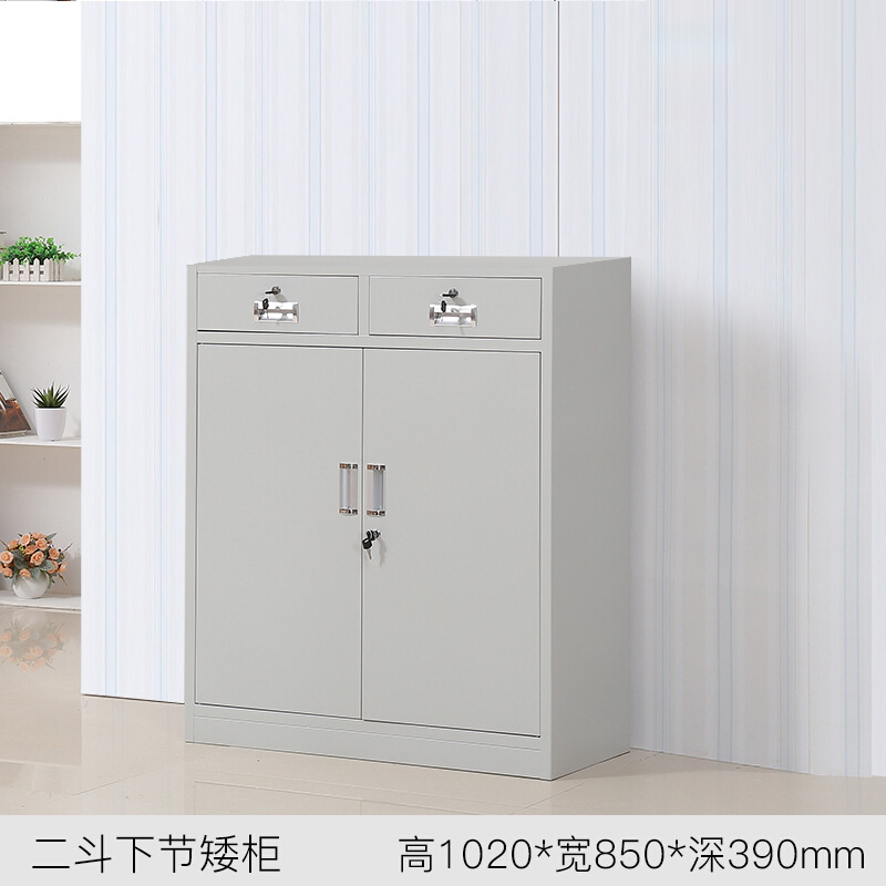 盛花牌 钢制文件柜 铁皮柜 档案柜 资料柜 加厚二斗下节