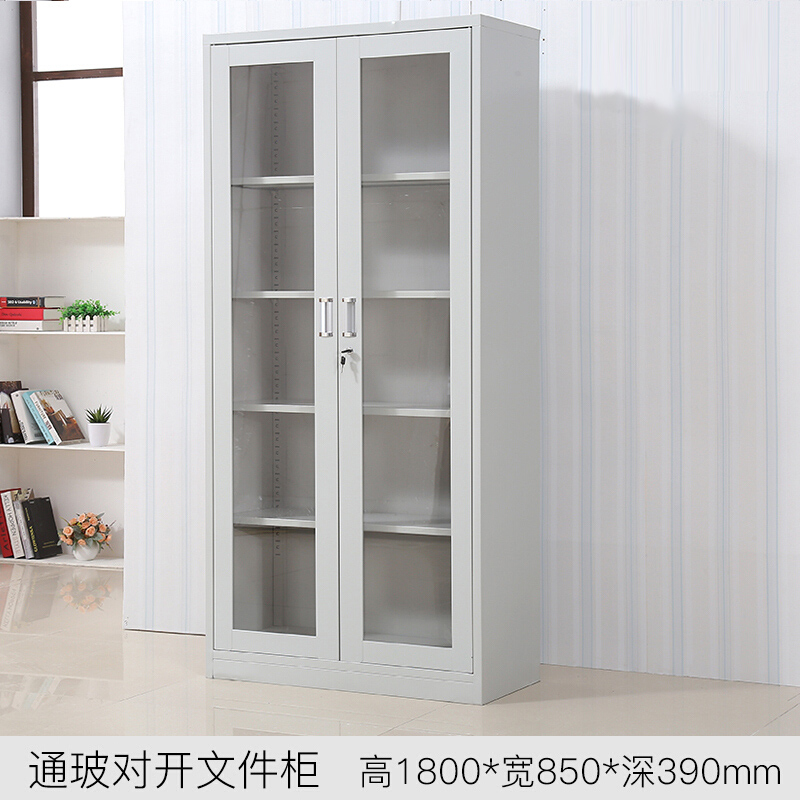 盛花牌 钢制文件柜 铁皮柜 档案柜 通玻器械柜